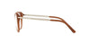 Óculos de Grau Ralph Lauren RL6179 5725 51
