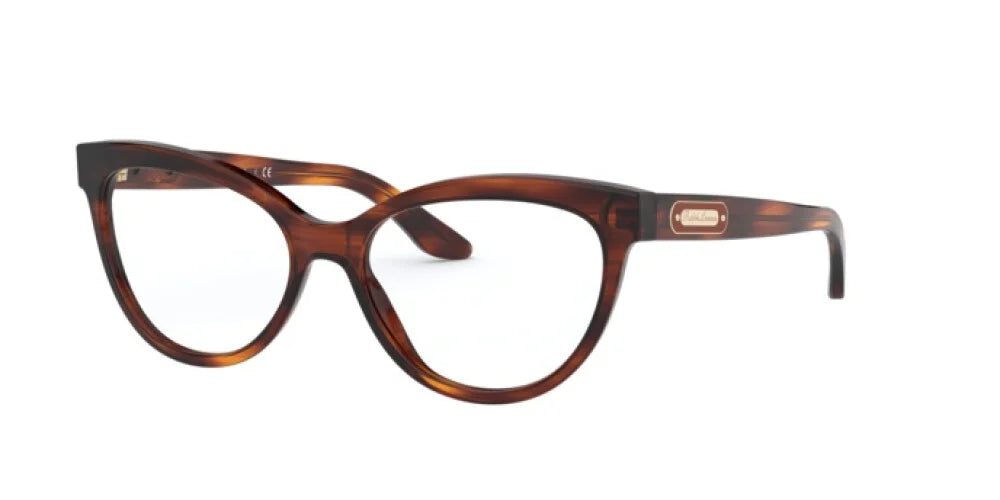Óculos de Grau Ralph Lauren RL6192 5007 54