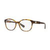 Óculos de Grau Armani Exchange Ax3040L 8037 53