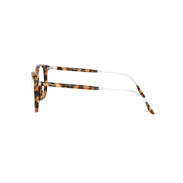 Óculos de Grau Ralph Lauren RL6196 5031 51 - Ótica FagLux