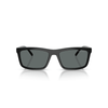 Óculos de Grau/Sol Clip on Arnette 4274 2473 1w 55 Hypno Clip-on