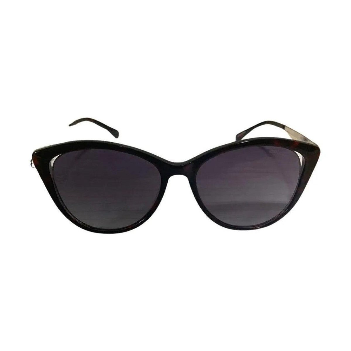 Óculos De Sol Colcci C0094 Fa1 55 - Ótica FagLux