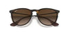 Óculos de Sol Ray-Ban Érika rb4171l 865/13